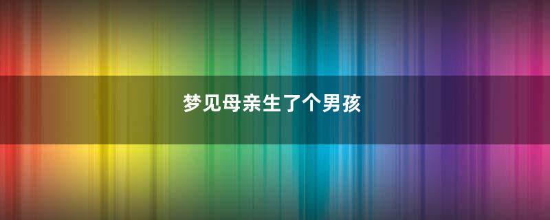 梦见母亲生了个男孩