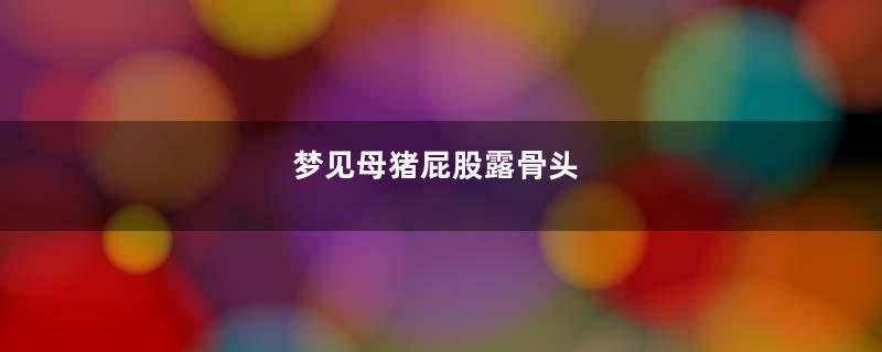 梦见母猪屁股露骨头