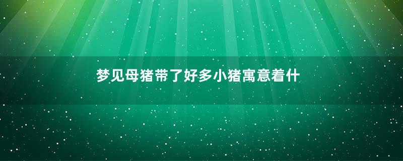 梦见母猪带了好多小猪寓意着什么