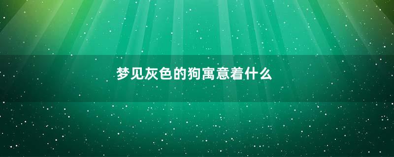梦见灰色的狗寓意着什么