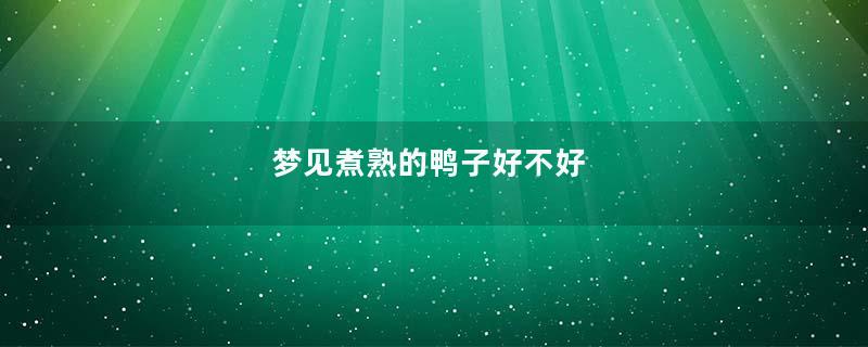 梦见煮熟的鸭子好不好