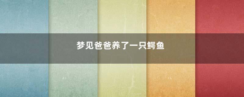 梦见爸爸养了一只鳄鱼