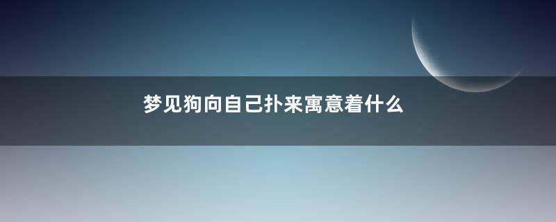 梦见狗向自己扑来寓意着什么