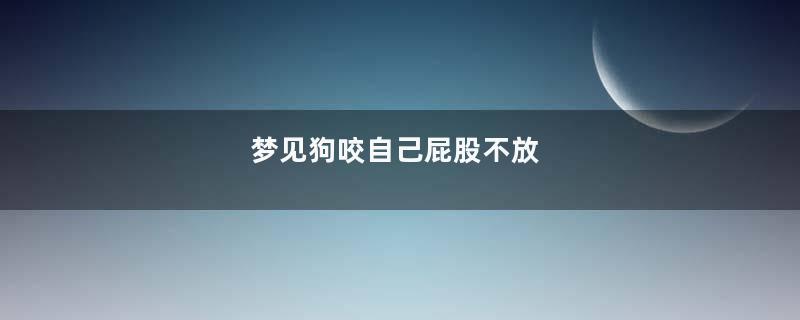 梦见狗咬自己屁股不放
