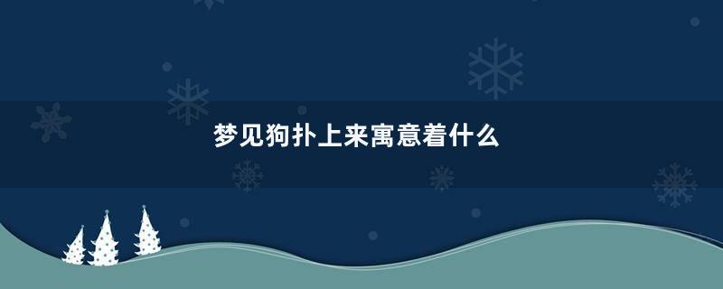 梦见狗扑上来寓意着什么