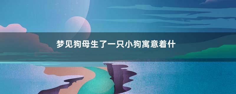 梦见狗母生了一只小狗寓意着什么