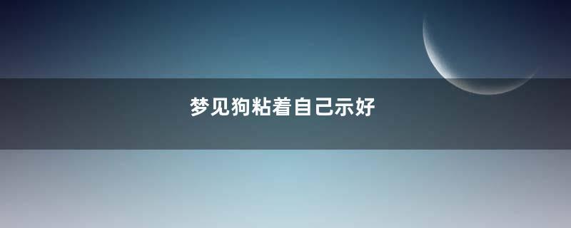 梦见狗粘着自己示好