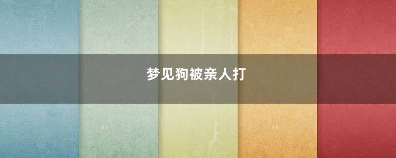 梦到狗被亲人打