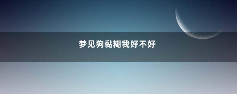 梦见狗黏糊我好不好