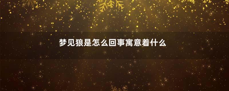 梦见狼是怎么回事寓意着什么