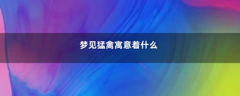 梦见猛禽寓意着什么