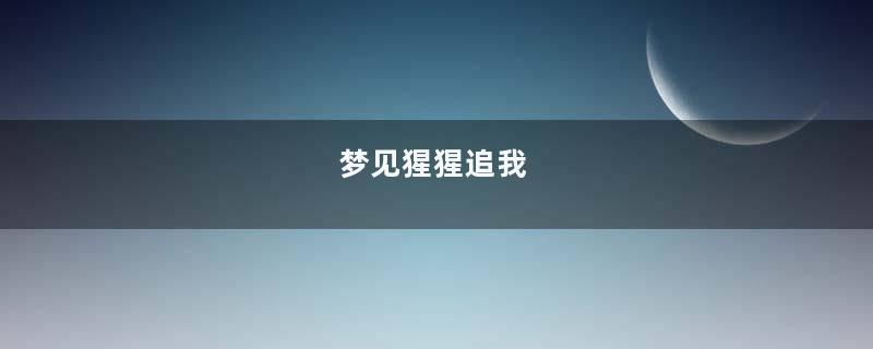 梦见猩猩追我