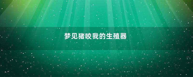 梦见猪咬我的生殖器