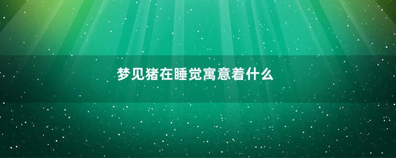 梦见猪在睡觉寓意着什么