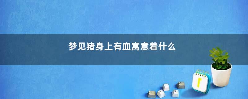 梦见猪身上有血寓意着什么