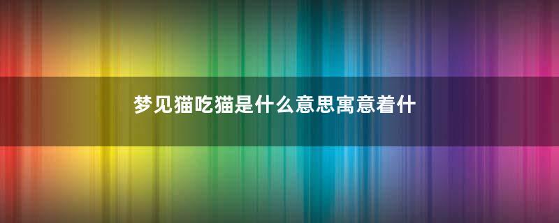 梦见猫吃猫是什么意思寓意着什么