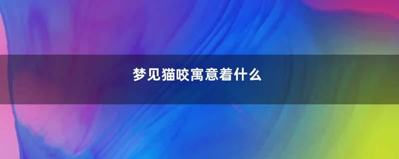 梦见猫咬寓意着什么