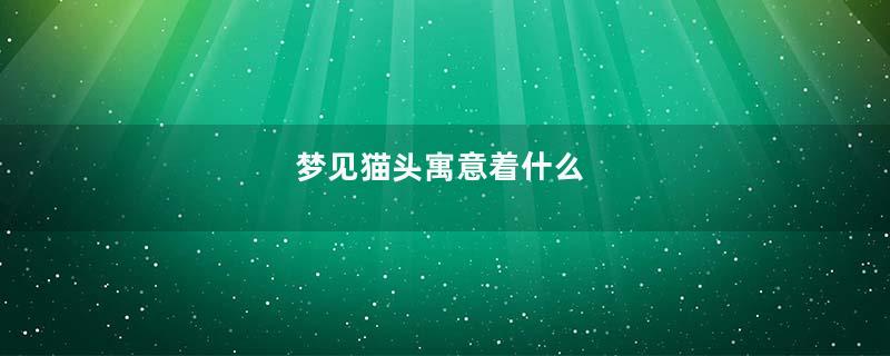 梦见猫头寓意着什么