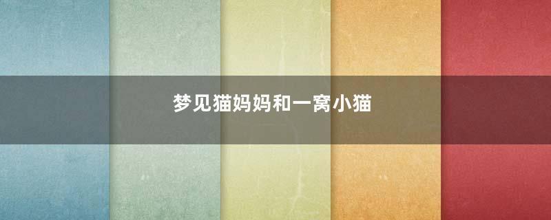 梦见猫妈妈和一窝小猫