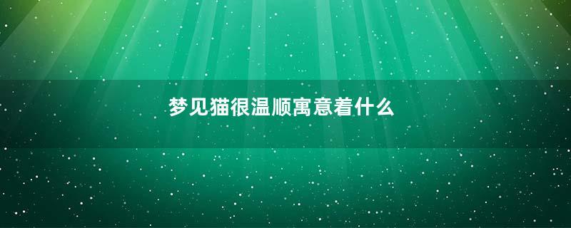 梦见猫很温顺寓意着什么