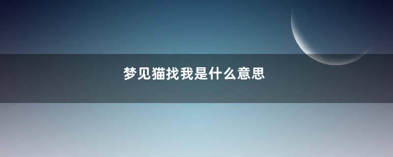 梦见猫找我是什么意思