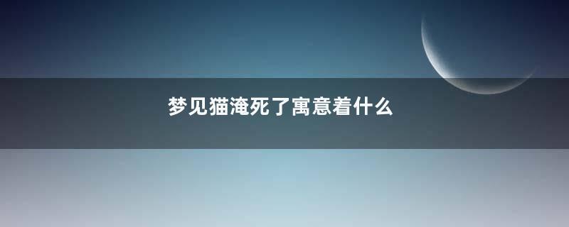 梦见猫淹死了寓意着什么