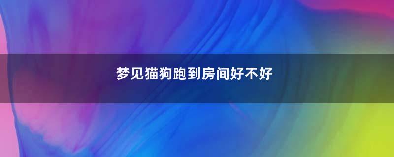 梦见猫狗跑到房间好不好