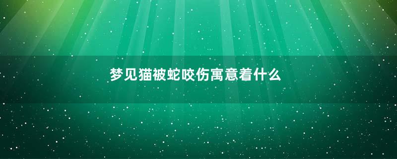 梦见猫被蛇咬伤寓意着什么