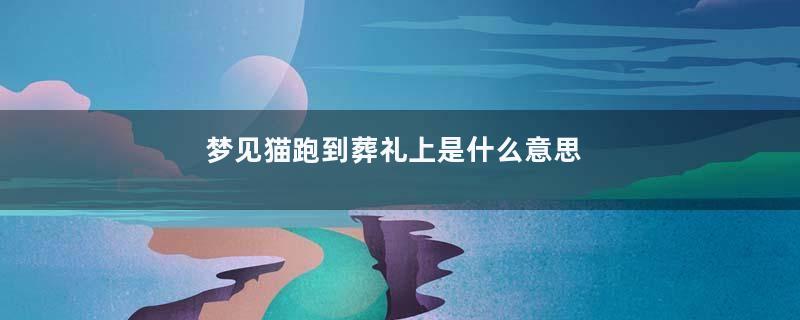 梦见猫跑到葬礼上是什么意思