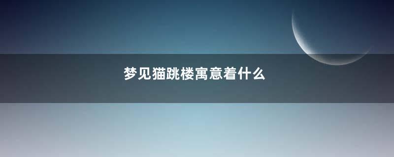 梦见猫跳楼寓意着什么