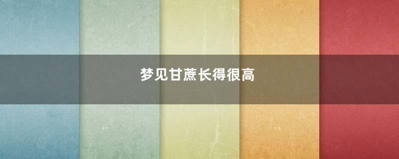 梦见甘蔗长得很高