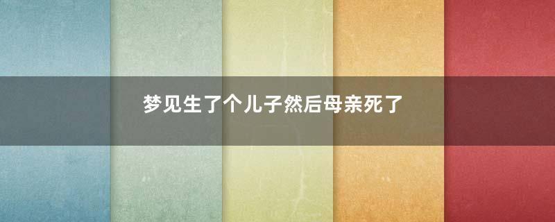 梦见生了个儿子然后母亲死了