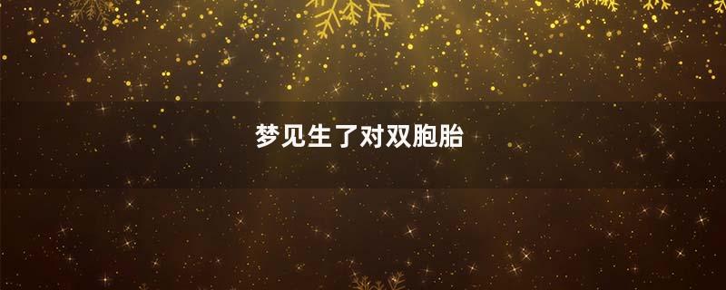 梦见生了对双胞胎