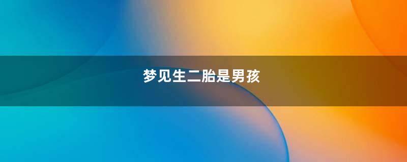 梦见生二胎是男孩