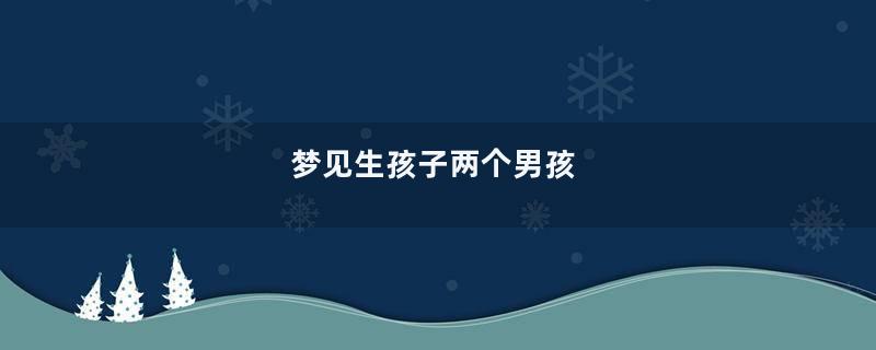 梦见生孩子两个男孩