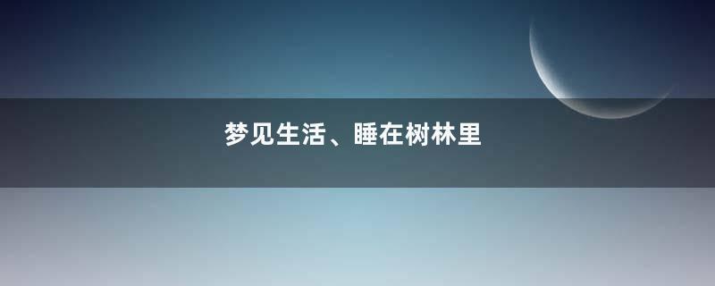 梦见生活、睡在树林里