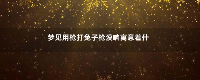 梦见用枪打兔子枪没响寓意着什么