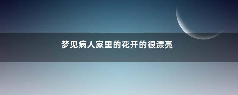 梦见病人家里的花开的很漂亮