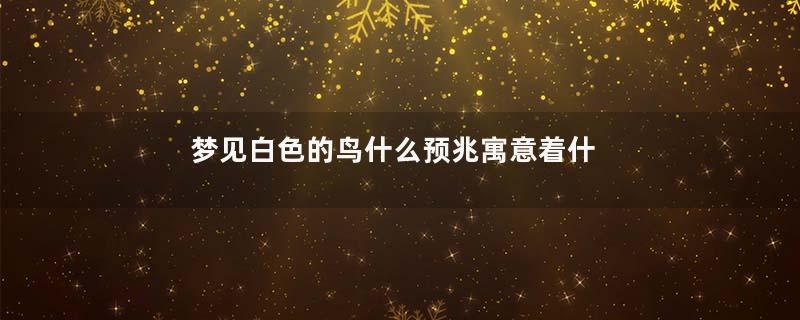 梦见白色的鸟什么预兆寓意着什么意思