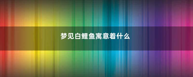 梦见白鲤鱼寓意着什么