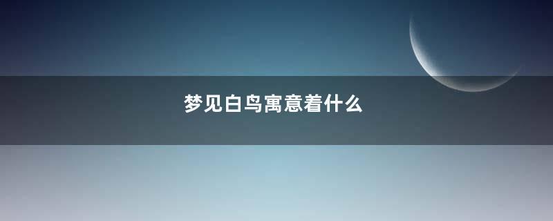 梦见白鸟寓意着什么