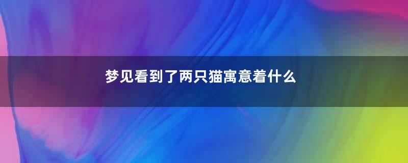 梦见看到了两只猫寓意着什么
