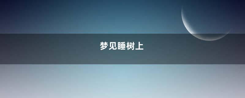 梦见睡树上