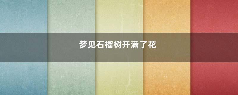 梦见石榴树开满了花
