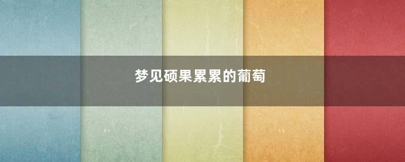 梦见硕果累累的葡萄