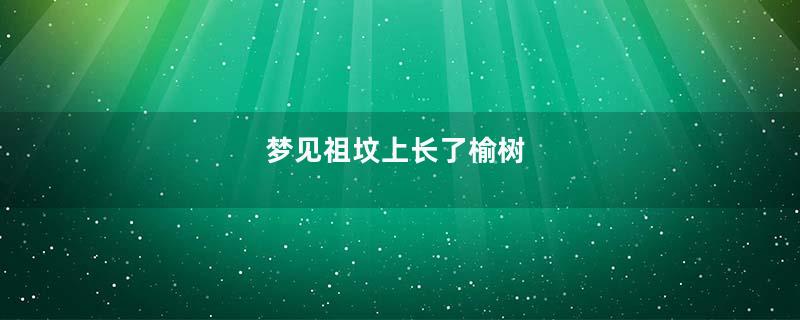 梦见祖坟上长了榆树