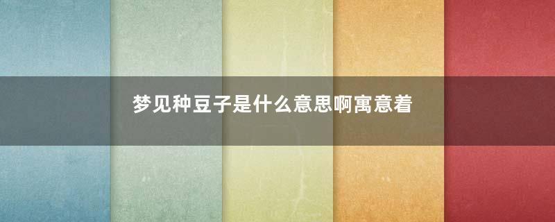 梦见种豆子是什么意思啊寓意着什么意思