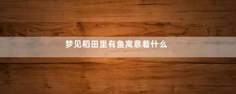 梦见稻田里有鱼寓意着什么