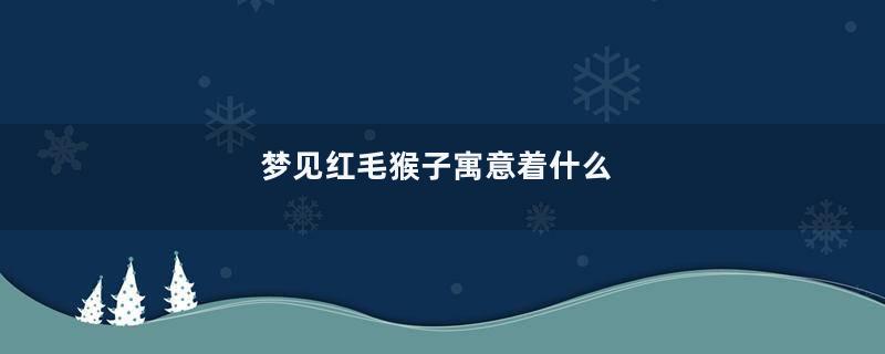 梦见红毛猴子寓意着什么