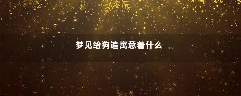 梦见给狗追寓意着什么